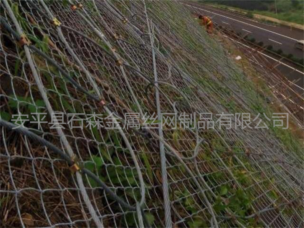 护坡勾花网